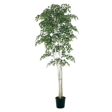 Birch 7' - Artificial Trees & Floor Plants - Artificial birch tree rental